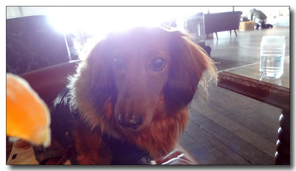 20130220220717.jpg