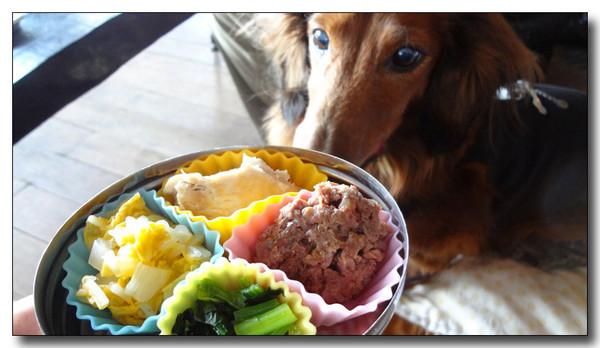 20130220220726.jpg