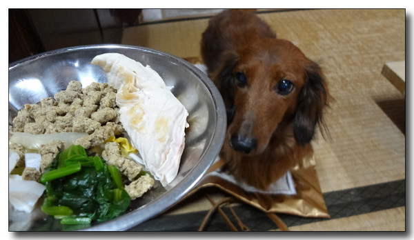 20130221004104.jpg