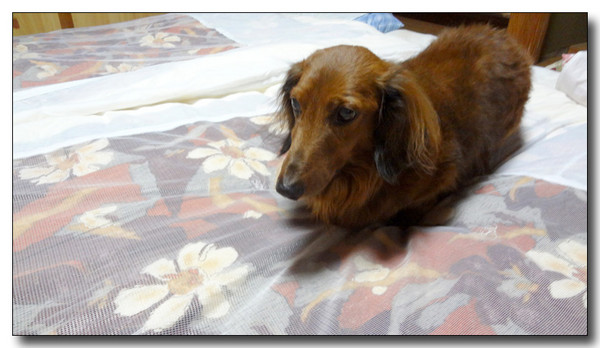 20130221004108.jpg