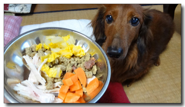 20130221004111.jpg