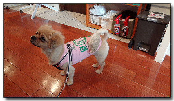 20130221112840.JPG