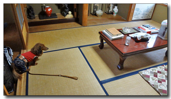 20130221120306.jpg