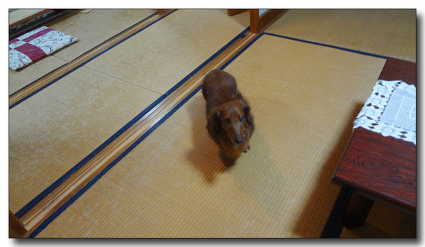 20130221120307.jpg