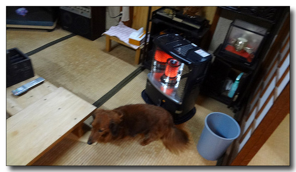 20130221120308.jpg