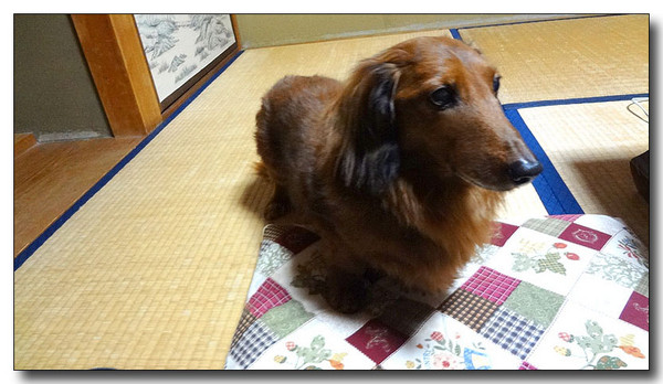 20130221120309.jpg