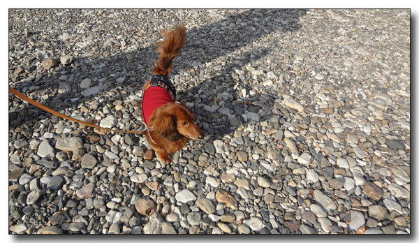 20130221153536.jpg