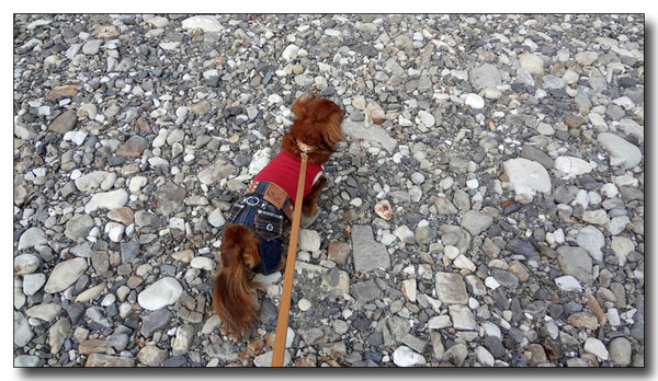 20130221153537.jpg