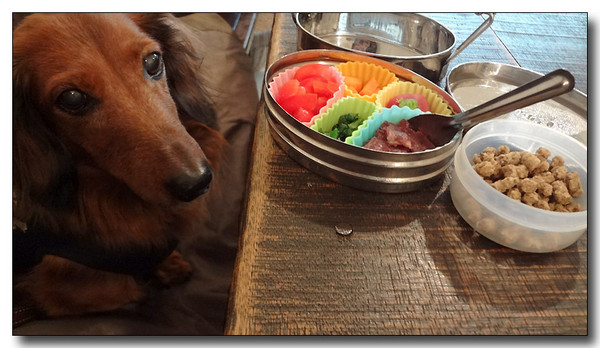20130221194040.JPG