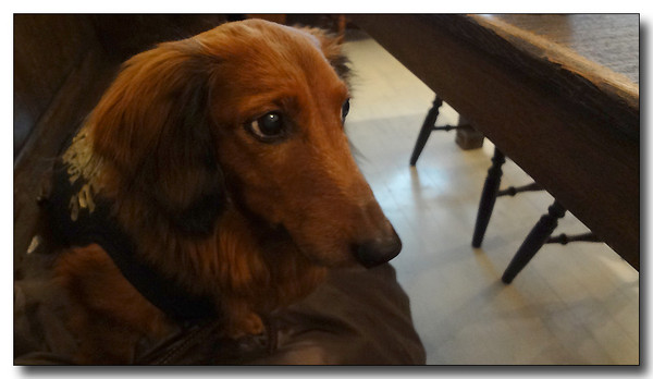 20130221194043.JPG