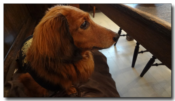 20130221194044.JPG