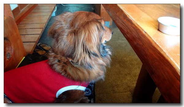 20130221230907.jpg