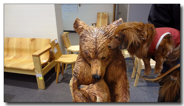 20130222004034.jpg