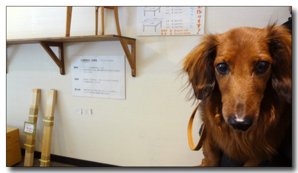 20130222004036.jpg