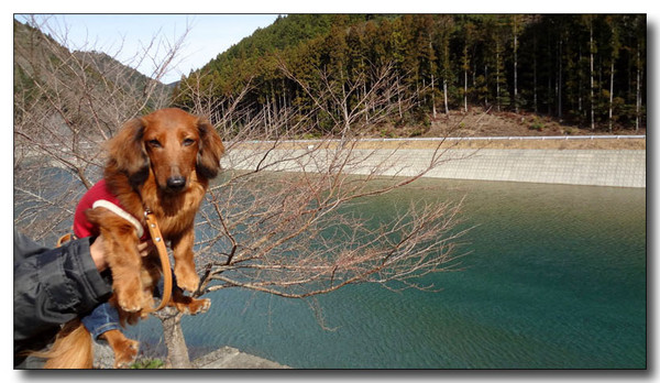 20130222004037.jpg