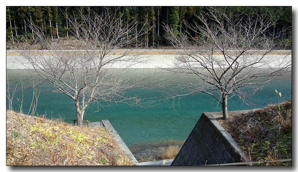 20130222004038.JPG