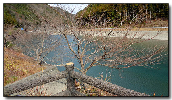 20130222004039.JPG