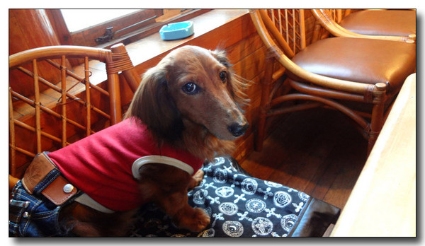 20130222030324.jpg