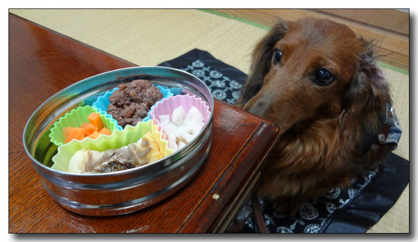 20130222093704.jpg
