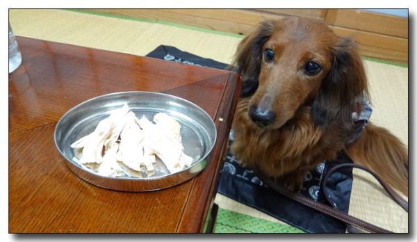 20130222093705.jpg