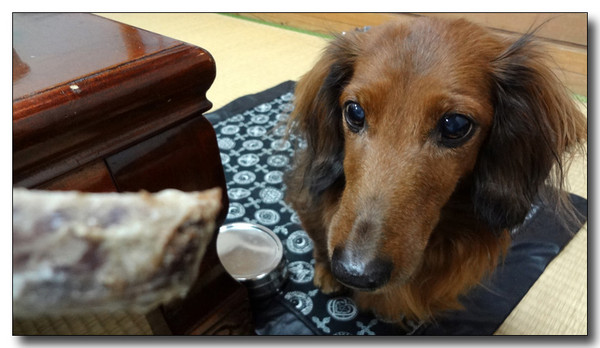 20130222093706.jpg