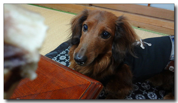 20130222093707.jpg