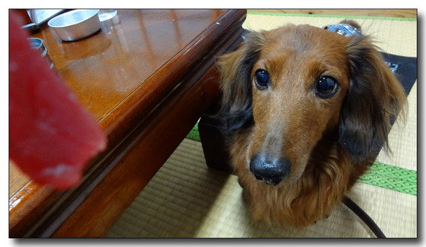 20130222093708.jpg