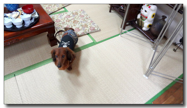 20130222093710.jpg