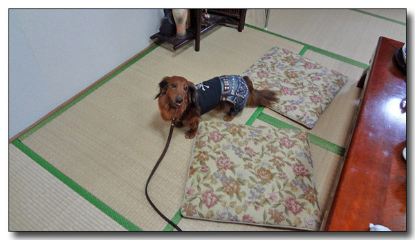 20130222093711.jpg