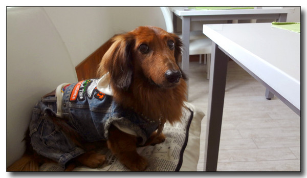 20130223040633.JPG