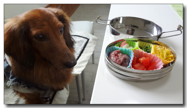20130223040636.JPG
