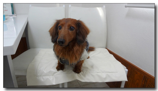 20130223040640.JPG