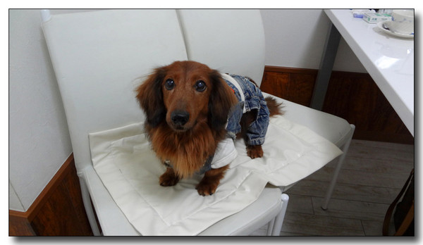 20130223040642.JPG