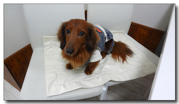 20130223040643.JPG