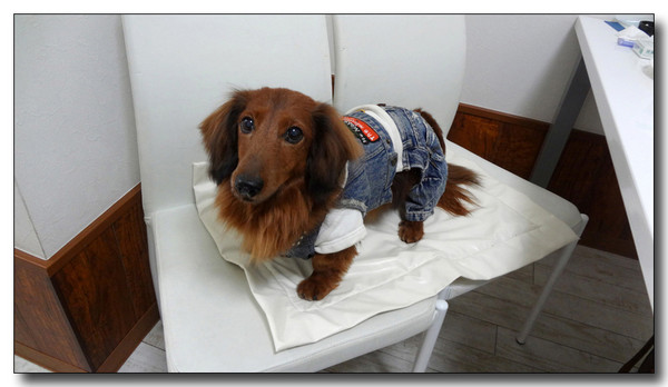 20130223040644.JPG