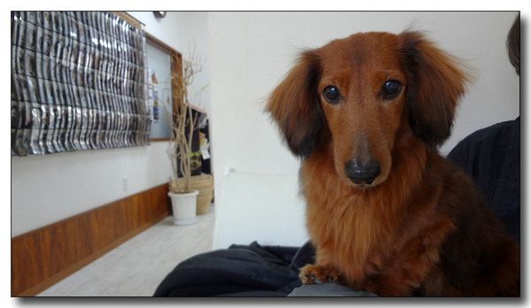 20130223040647.JPG