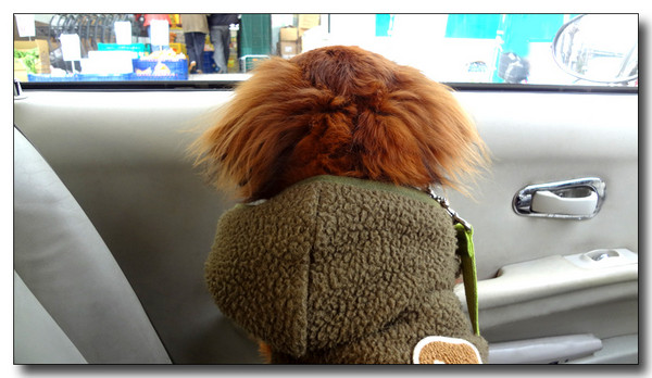 20130223155642.JPG