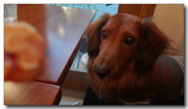 20130225232809.JPG