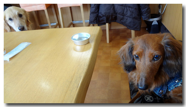 20130226012756.JPG