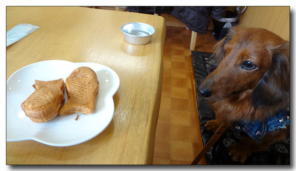 20130226012757.JPG