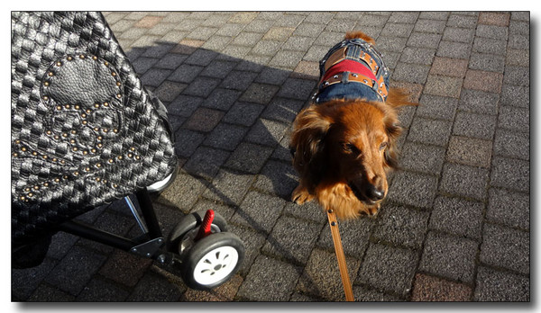 20130226092051.JPG