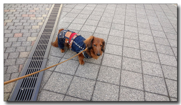 20130226092052.JPG