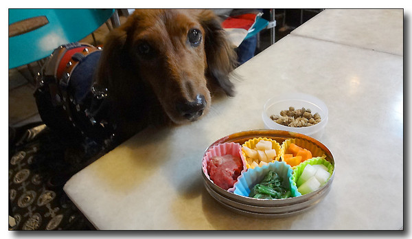 20130226183427.JPG
