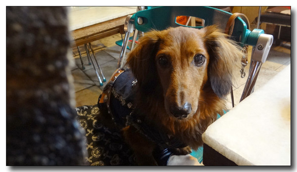 20130226183435.JPG