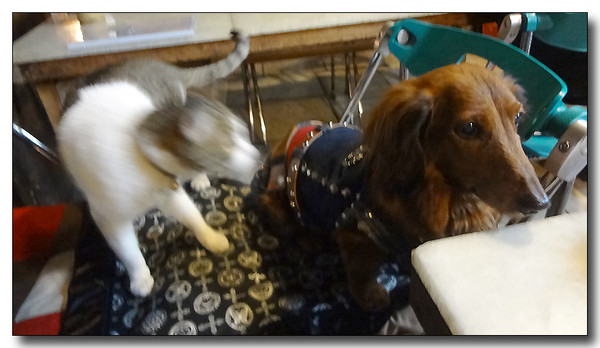 20130226183440.JPG
