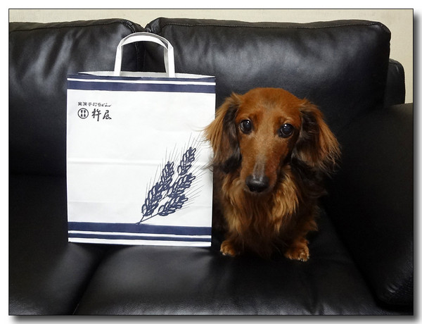 20130227213916.JPG