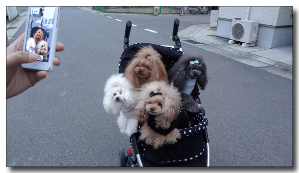 20130227221821.JPG