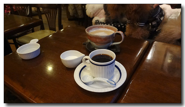 20130227221824.JPG