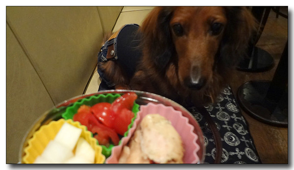 20130227221826.JPG