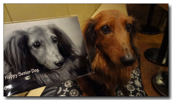 20130227221829.JPG